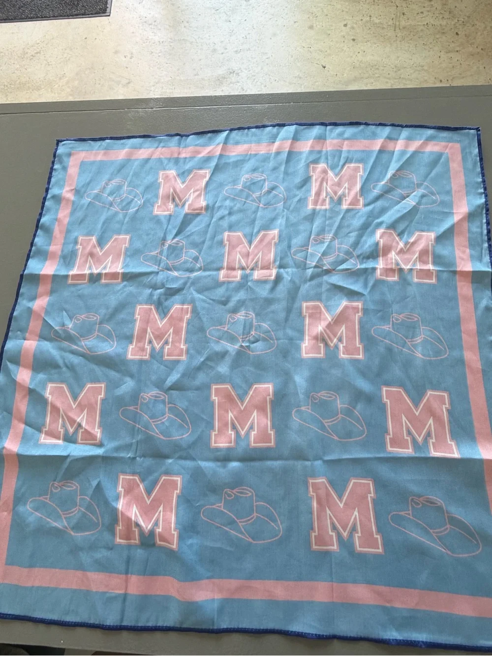 Ole Miss Red and Blue Scarf